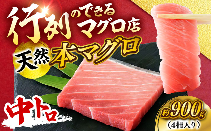 【年内発送の受付は12月24日まで！】天然 本まぐろ 中トロ 計約900g （4柵入り） 年内発送 【横須賀商工会議所 おもてなしギフト事務局（本まぐろ直売所 横須賀本店）】 [AKAK101]