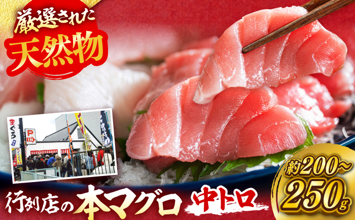 天然 本まぐろ 中トロ（約200～250g（1柵入り））【横須賀商工会議所 おもてなしギフト事務局（本まぐろ直売所 横須賀本店）】 [AKAK118]