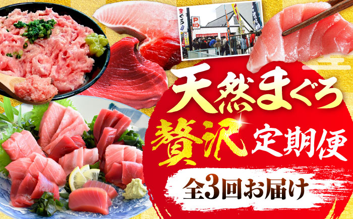 【全3回定期便】まぐろ 豪華 食べ比べ 定期便 【横須賀商工会議所 おもてなしギフト事務局（本まぐろ直売所 横須賀本店）】 [AKAK122]
