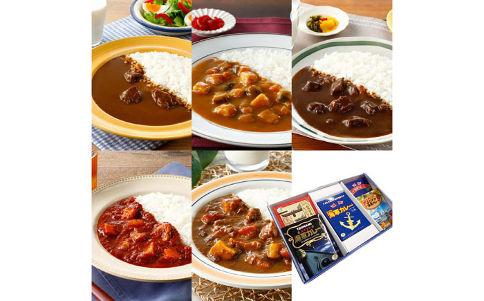 カレーの街よこすか名店 5種食べ比べプレミアムBOX 200g×4 180g×1【横須賀商工会議所 おもてなしギフト事務局（株式会社調味商事）】  [AKAQ007]