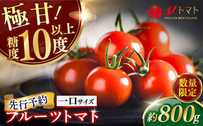 【先行予約】【数量限定】V トマト 糖度10度以上 800g【株式会社ブイ・テクノロジー】 [AKBL005]