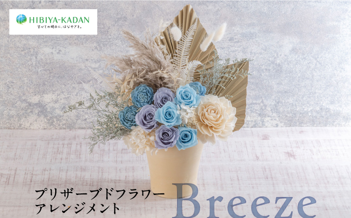 プリザーブドフラワーアレンジメント Breeze【株式会社日比谷花壇】 [AKBO013]