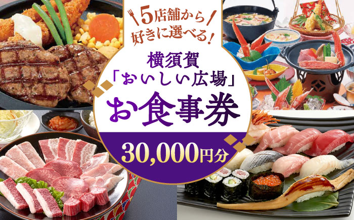 おいしい広場（ファミリーガーデン、横須賀甲羅本店、にぎり一丁、カルビ家、鐡丸） 食事券 30000円分【日本水産観光株式会社】 [AKBR004]