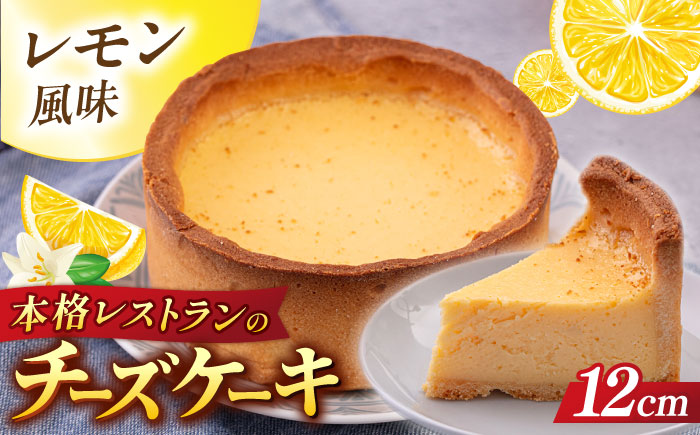 チーズケーキ 4号（12cm) 2～3人分【日本水産観光株式会社】 [AKBR007]