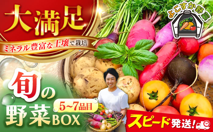 【年内発送の受付は12月22日まで！】すずなり採れたて野菜BOX（5～7品目） 年内発送 【鈴也ファーム】 [AKCE001]