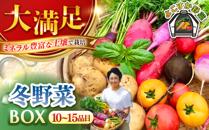 すずなり採れたて野菜BOX（10～15品目）冬（12月～2月）【鈴也ファーム】 [AKCE002]