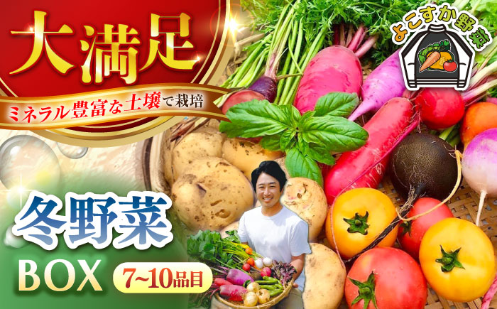 すずなり採れたて野菜BOX（7～10品目）冬（12月～2月）【鈴也ファーム】 [AKCE003]