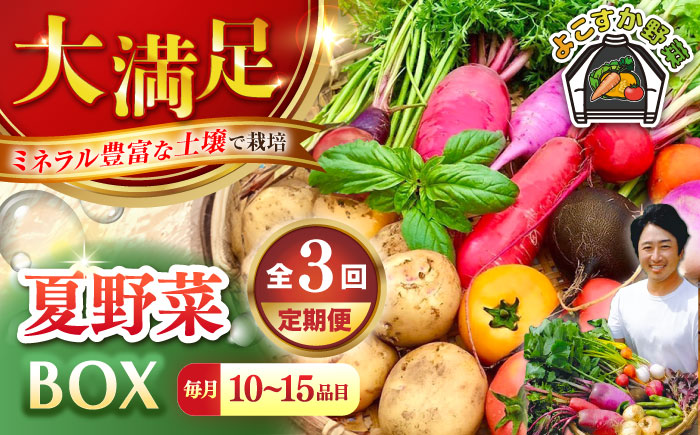 【先行予約】【全３回定期便】すずなり採れたて野菜BOX　(10～15品)　夏（5月～7月）【鈴也ファーム】 [AKCE005]