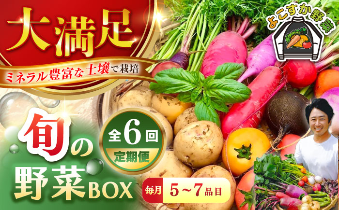 【全６回定期便】すずなり採れたて野菜BOX　(5～7品）【鈴也ファーム】 [AKCE012]