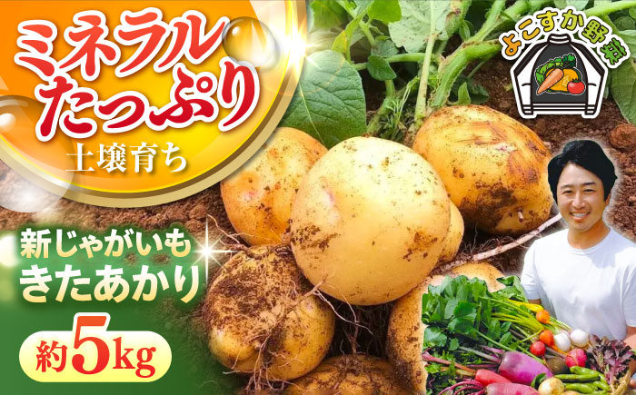 【先行予約】新じゃが きたあかり 約5kg 【鈴也ファーム】 [AKCE021]