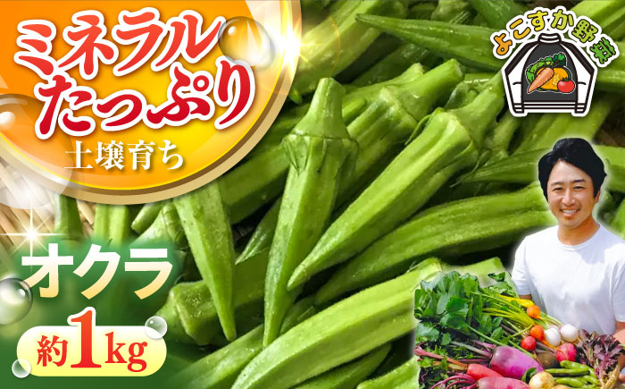 【先行予約】オクラ 約1kg【鈴也ファーム】 [AKCE023]