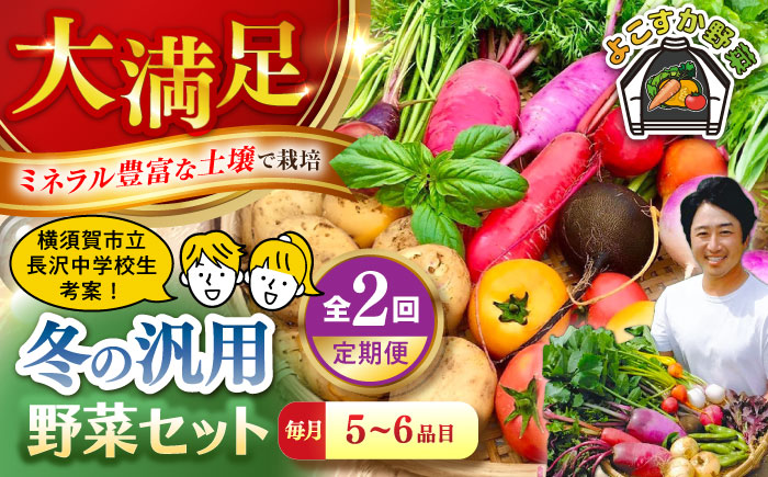 【先行予約】【全2回定期便】冬の汎用野菜セット（5～6品目）冬（12月～1月）【鈴也ファーム】 [AKCE027]