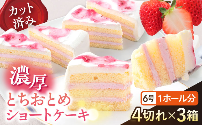 ドルチェケーキ とちおとめショート ケーキ 計12個（4個×3箱） 【ファミール製菓株式会社】 [AKCI022]