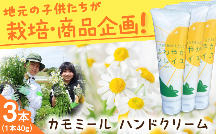 【数量限定100セット】カモミール　ハンドクリーム　3本セット　【グローカルデザインスクール株式会社】 [AKCP004]