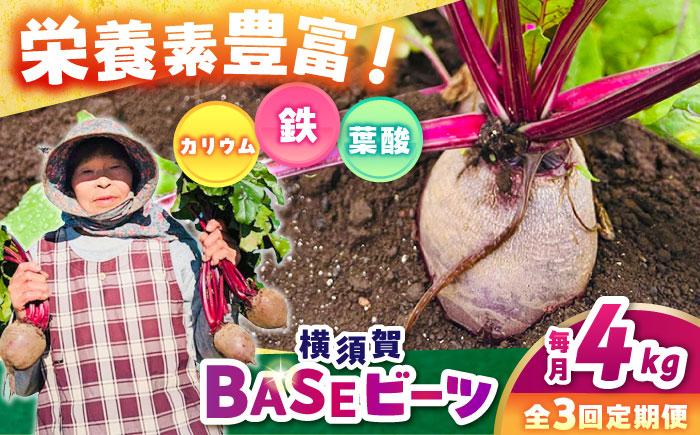 【全3回定期便】横須賀BASEビーツ 4kg（1kg×4袋）【ゆり子ファーム】 [AKCR004]