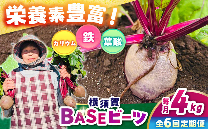 【全6回定期便】横須賀BASEビーツ 4kg（1kg×4袋）【ゆり子ファーム】 [AKCR005]