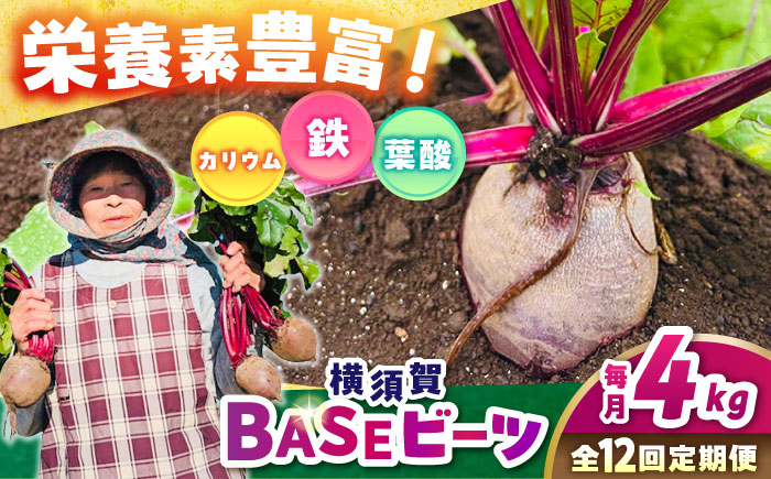 【全12回定期便】横須賀BASEビーツ 4kg（1kg×4袋）【ゆり子ファーム】 [AKCR006]