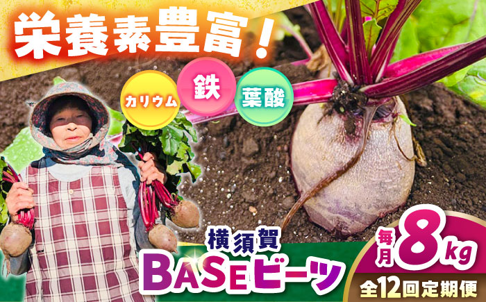 【全12回定期便】横須賀BASEビーツ 8kg（1kg×8袋）【ゆり子ファーム】 [AKCR009]