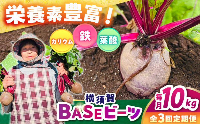 【全3回定期便】横須賀BASEビーツ 10kg（1kg×10袋）【ゆり子ファーム】 [AKCR010]