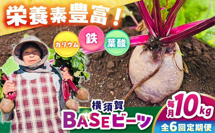 【全6回定期便】横須賀BASEビーツ 10kg（1kg×10袋）【ゆり子ファーム】 [AKCR011]