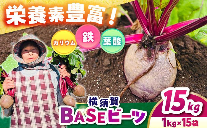 横須賀BASEビーツ 15kg（1kg×15袋）【ゆり子ファーム】 [AKCR013]