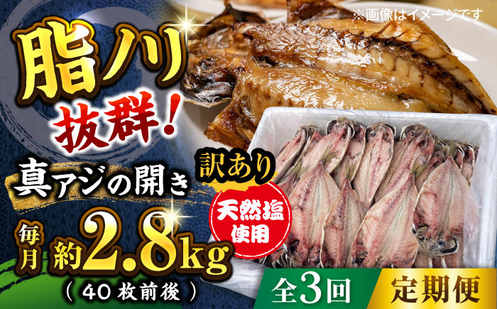 【全3回定期便】【訳あり】漁師町佐島 真アジの開き 約2.8kg（40枚前後）セット 干物 横須賀 【石川水産】 [AKCX006]