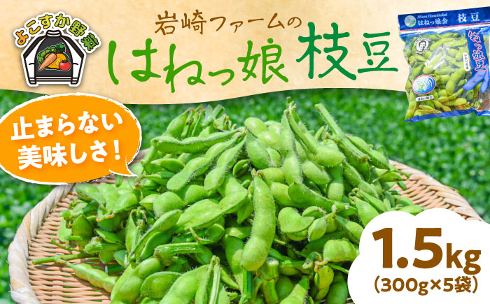 【先行予約】【数量限定100セット】はねっ娘枝豆 1.5kg（300g×5袋）【有限会社岩崎ファーム】 [AKCZ001]