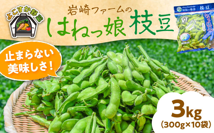 【先行予約】【数量限定100セット】はねっ娘枝豆 3kg（300g×10袋）【有限会社岩崎ファーム】 [AKCZ002]