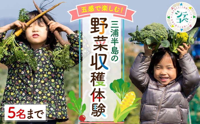 三浦半島の野菜収穫体験【株式会社シテコベ】 [AKDQ001]