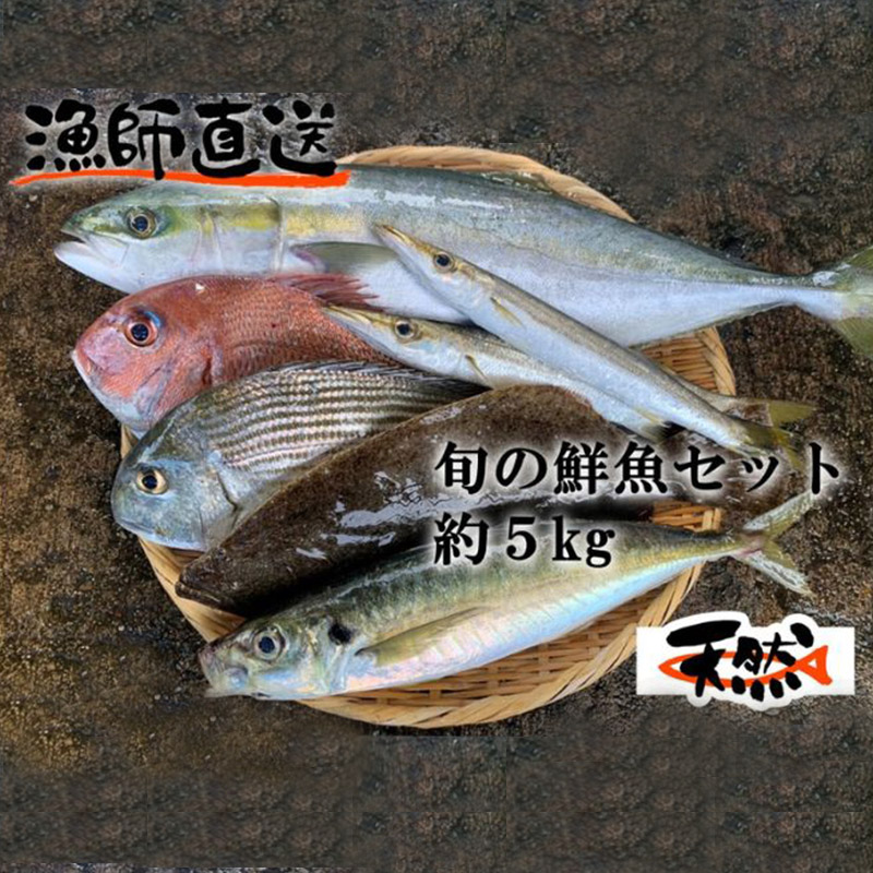 朝どれ鮮魚おまかせセット 約5kg【有限会社勘網】 [AKDX001]