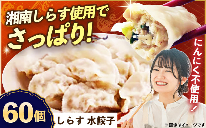 冷凍 しらす水餃子 60個【横須賀商工会議所 おもてなしギフト事務局（上海亭）】 [AKED007]