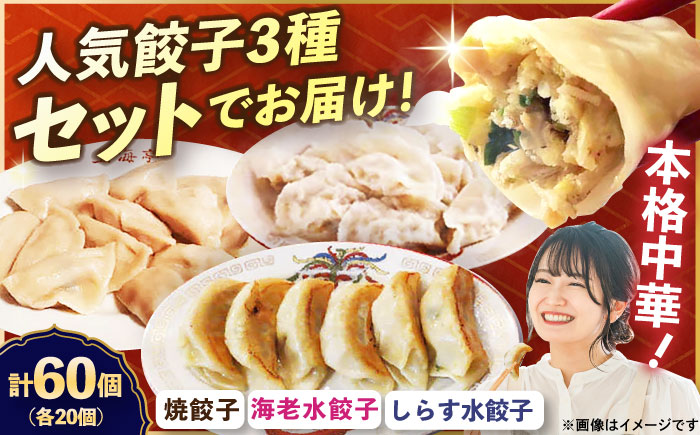冷凍 海老水餃子 しらす水餃子 焼餃子 3種セット 60個【横須賀商工会議所 おもてなしギフト事務局（上海亭）】 [AKED009]