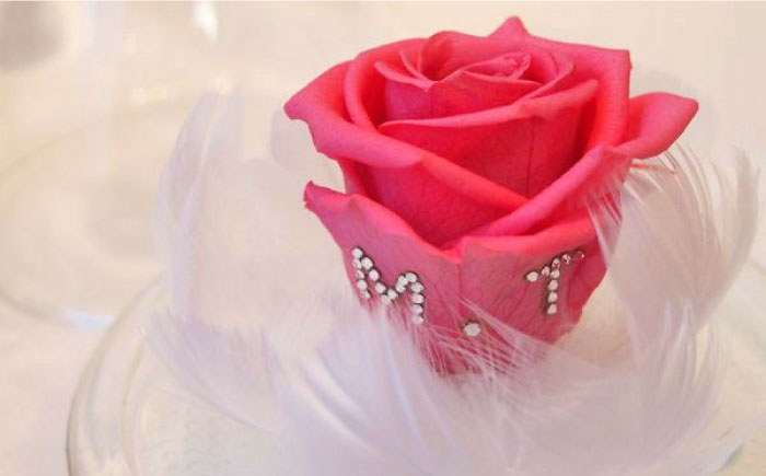 プリザーブドフラワー(パステルピンク) 直径20cmベース【横須賀商工会議所 おもてなしギフト事務局（プレゼントギフトのForyou）】 [AKEP001]