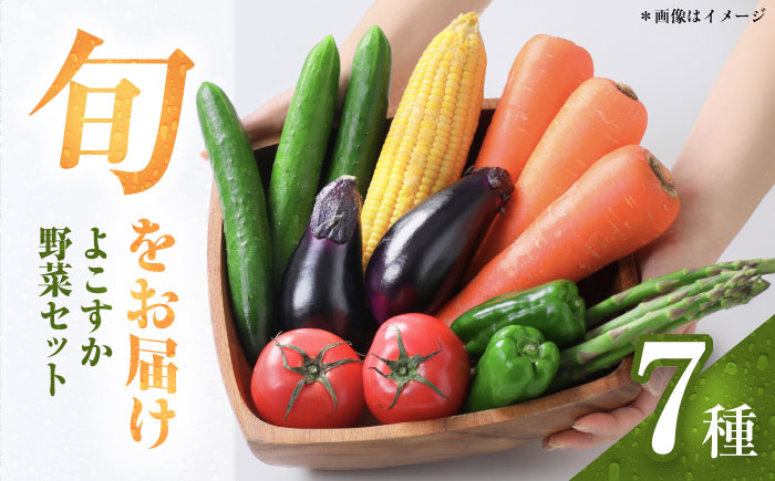 横須賀産野菜セット 7種 詰め合わせ【横須賀商工会議所 おもてなしギフト事務局（三浦半島直売所）】 [AKES001]