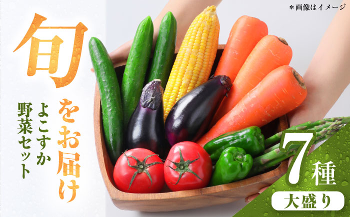 横須賀産野菜セット 大盛り 7種 詰め合わせ【横須賀商工会議所 おもてなしギフト事務局（三浦半島直売所）】 [AKES002]