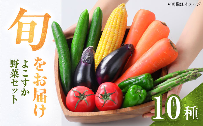 横須賀産野菜セット 10種 詰め合わせ【横須賀商工会議所 おもてなしギフト事務局（三浦半島直売所）】 [AKES003]