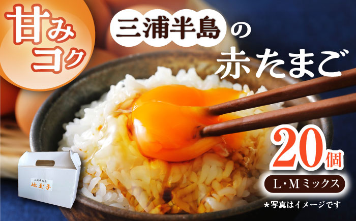 餌にこだわった三浦半島産赤たまご　20個　【横須賀商工会議所　おもてなしギフト事務局（岩沢ポートリー）】 [AKET003]