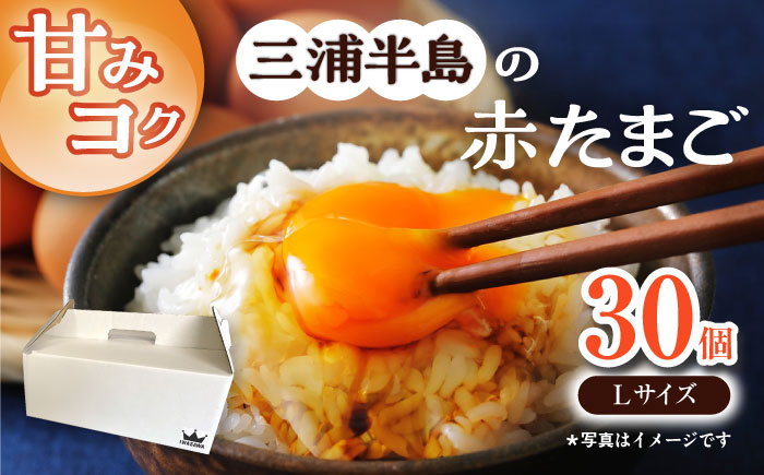 餌にこだわった三浦半島産赤たまご　30個　【横須賀商工会議所　おもてなしギフト事務局（岩沢ポートリー）】 [AKET004]