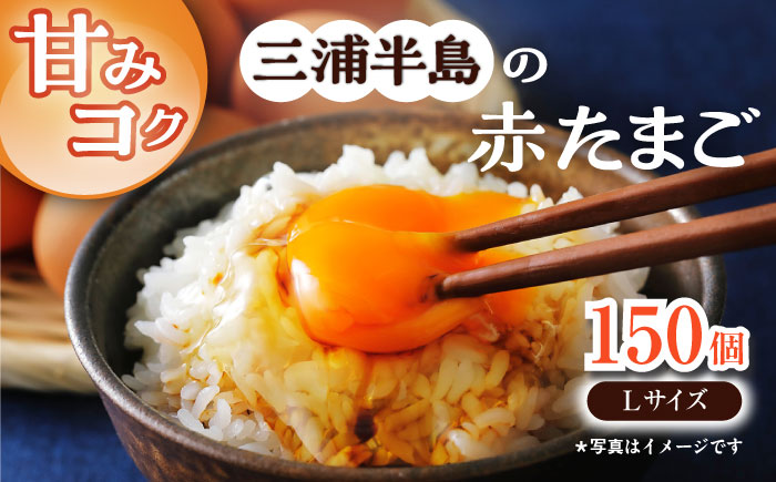 餌にこだわった三浦半島産赤たまご　Lサイズ10kg（約150個）　【横須賀商工会議所　おもてなしギフト事務局（岩沢ポートリー）】 [AKET006]