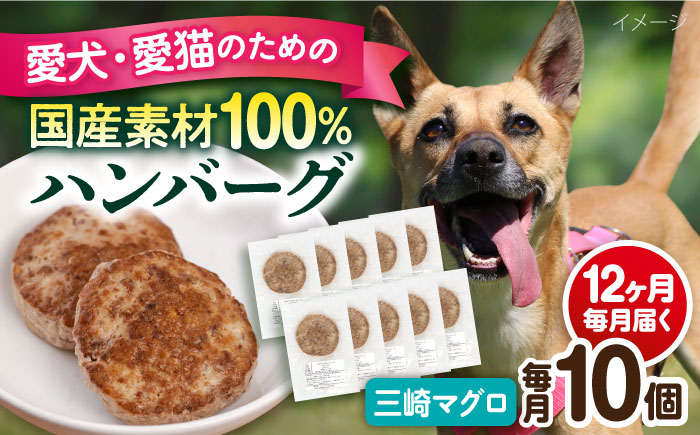 【全12回定期便】ペットフード 三崎マグロ 100%ハンバーグ 10個セット【ペットフード YMjapan】 [AKEX005]