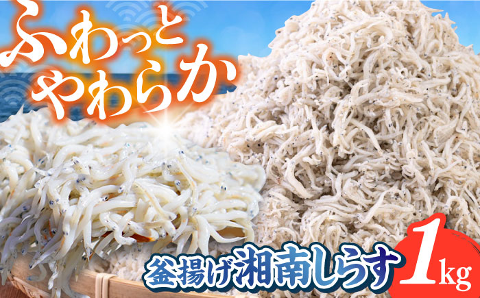 釜揚げ 湘南しらす 1kg シラス しらす 釜揚げ【平敏丸】 [AKEZ003]
