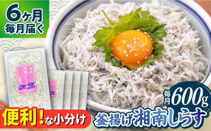 【全6回定期便】釜揚げ 湘南しらす 600g 小分け 120g×5パック【平敏丸】 [AKEZ006]