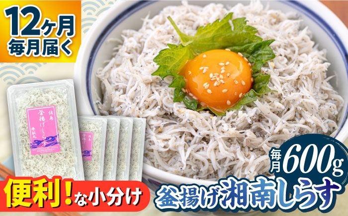 【全12回定期便】釜揚げ 湘南しらす 600g 小分け 120g×5パック【平敏丸】 [AKEZ007]