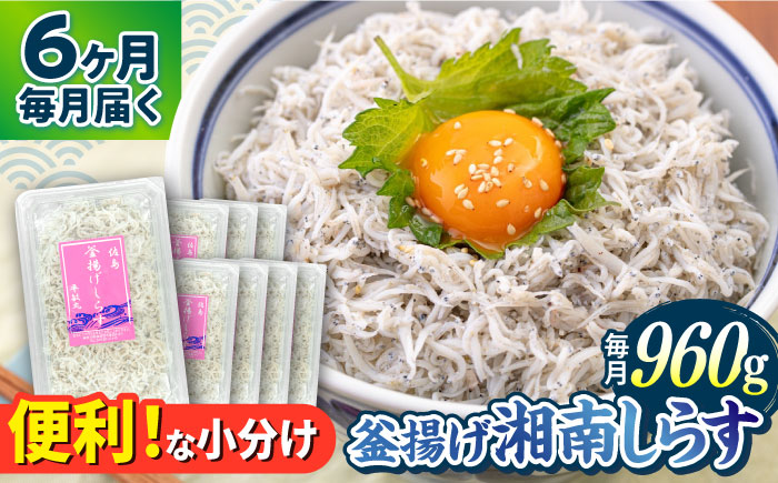【全6回定期便】釜揚げ 湘南しらす 960g 小分け 120g×8パック【平敏丸】 [AKEZ009]