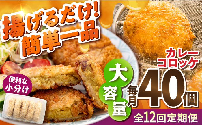 【全12回定期便】カレーコロッケ 40個 3.4kg【有限会社丸伸商事】 [AKFH029]