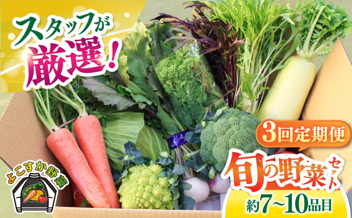 【全3回定期便】よこすか野菜セット すかなボックス 【JAよこすか葉山】 [AKFO007]