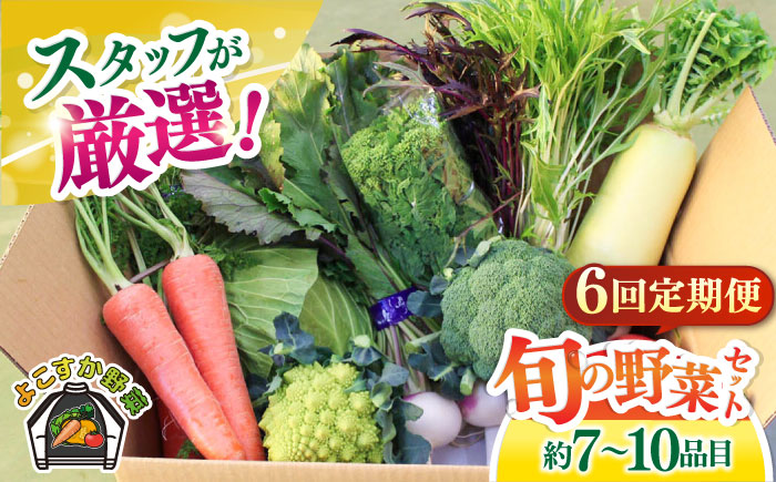 【全6回定期便】よこすか野菜セット すかなボックス 【JAよこすか葉山】 [AKFO008]