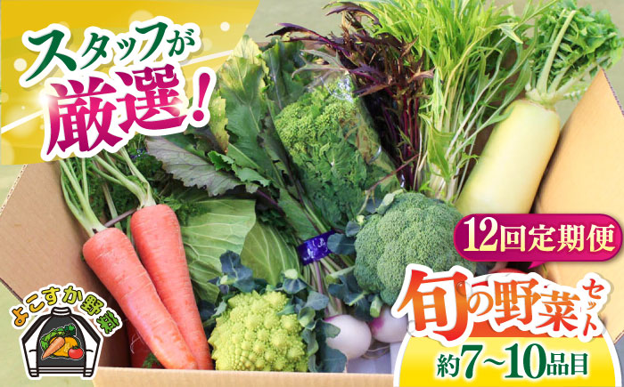 【全12回定期便】よこすか野菜セット すかなボックス 【JAよこすか葉山】 [AKFO009]