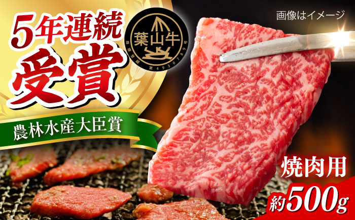 【冷蔵発送でお届け】 葉山牛 焼肉用切り落としセット 約500g 【JAよこすか葉山】 [AKFO011]