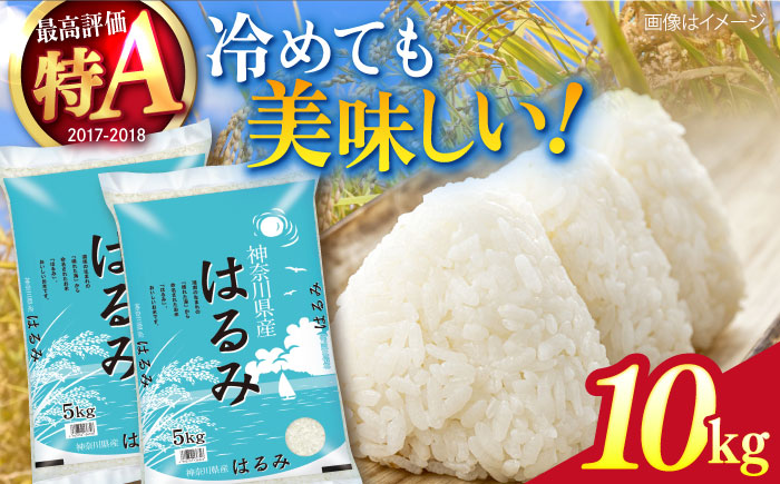 【数量限定25セット】令和6年産 お米 はるみ 10kg【株式会社ヨコショク】 [AKGC002]